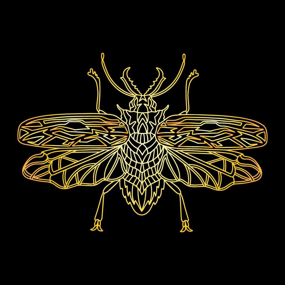 A golden beetle in a linear style. Linear illustration vector