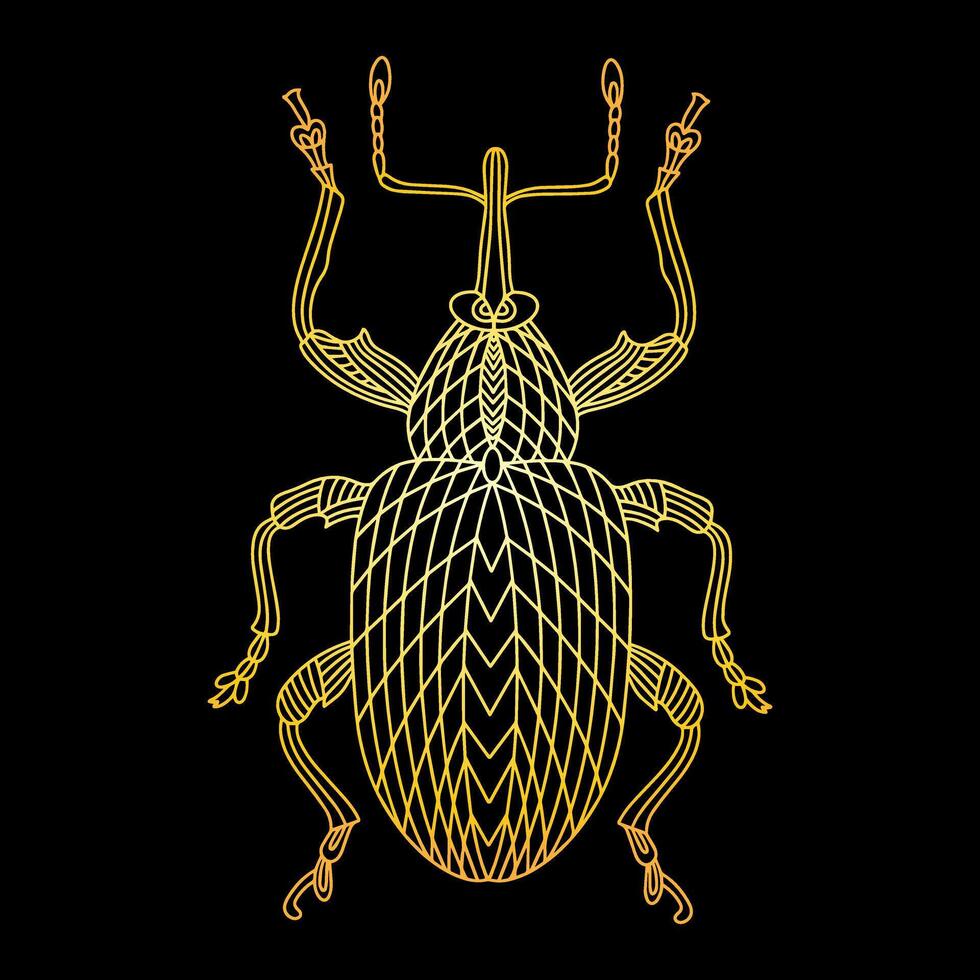 A golden beetle in a linear style. Linear illustration vector