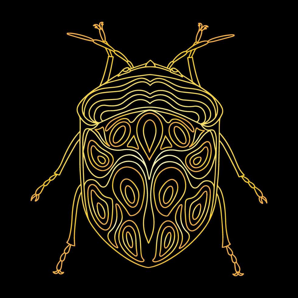 A golden beetle in a linear style. Linear illustration vector