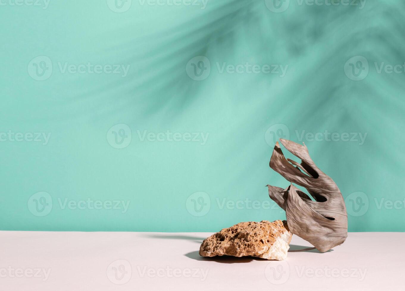 Abstract modern podium dry plant and stone, blue menthol empty background deep shadows from plant photo