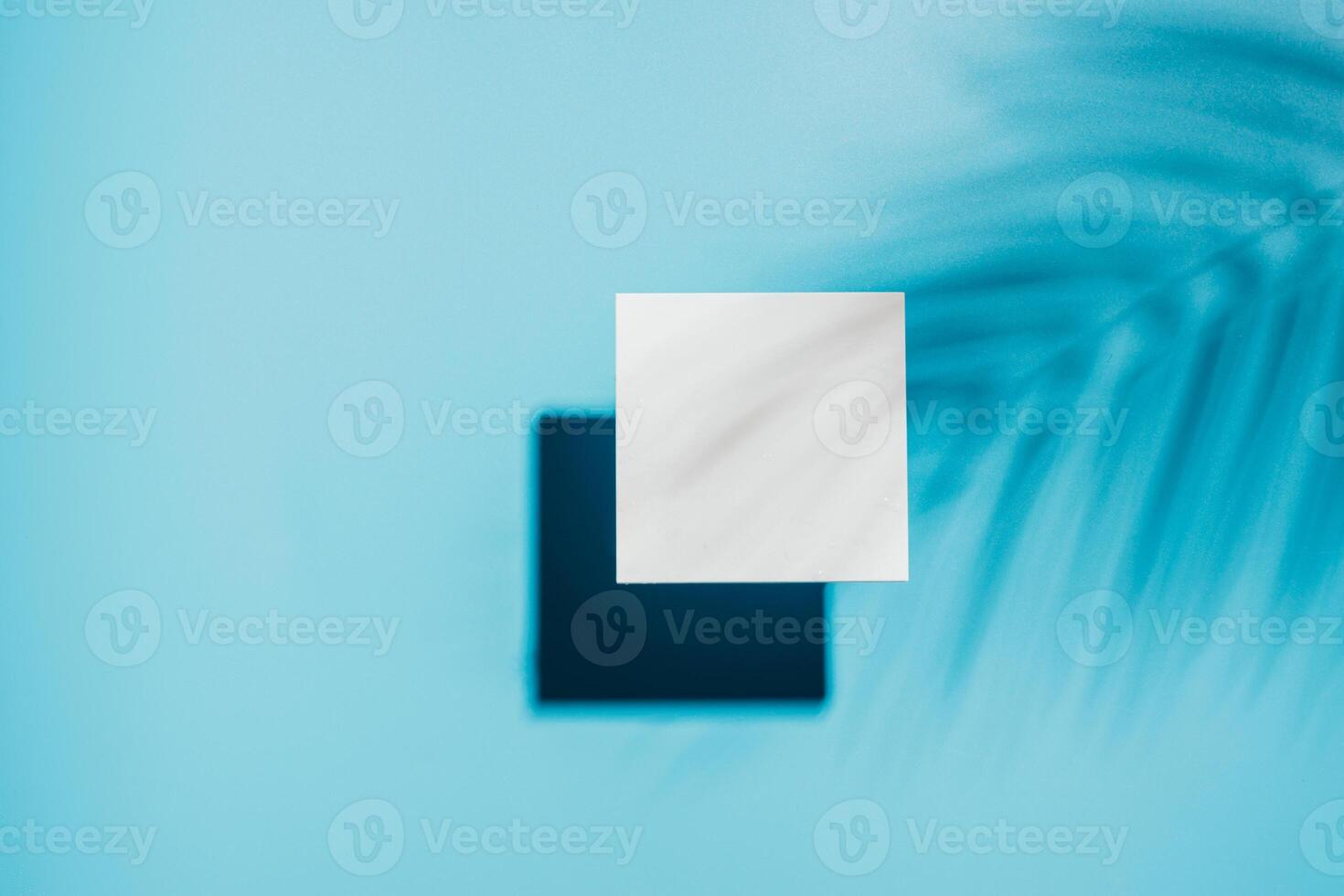 Creative podium white stone tiles blue background bright sun and shadows from a plant branch, mockup photo