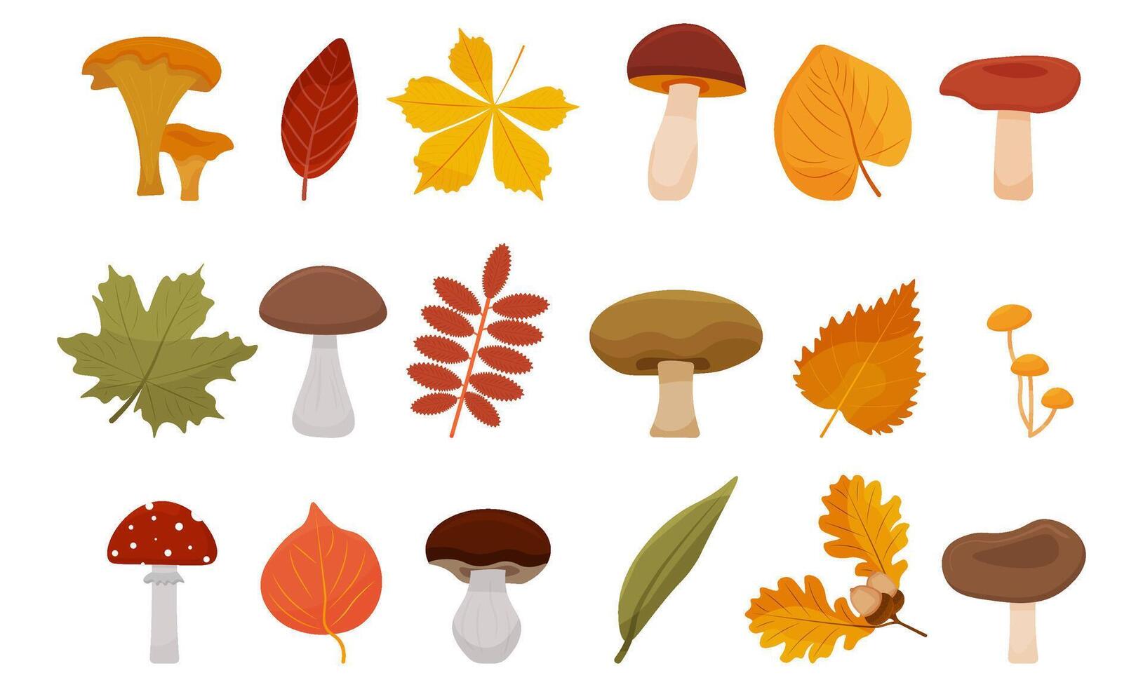set autumn elements. Fall leaves, mushrooms, maple, acorns, oak Autumn floral Flat design vector