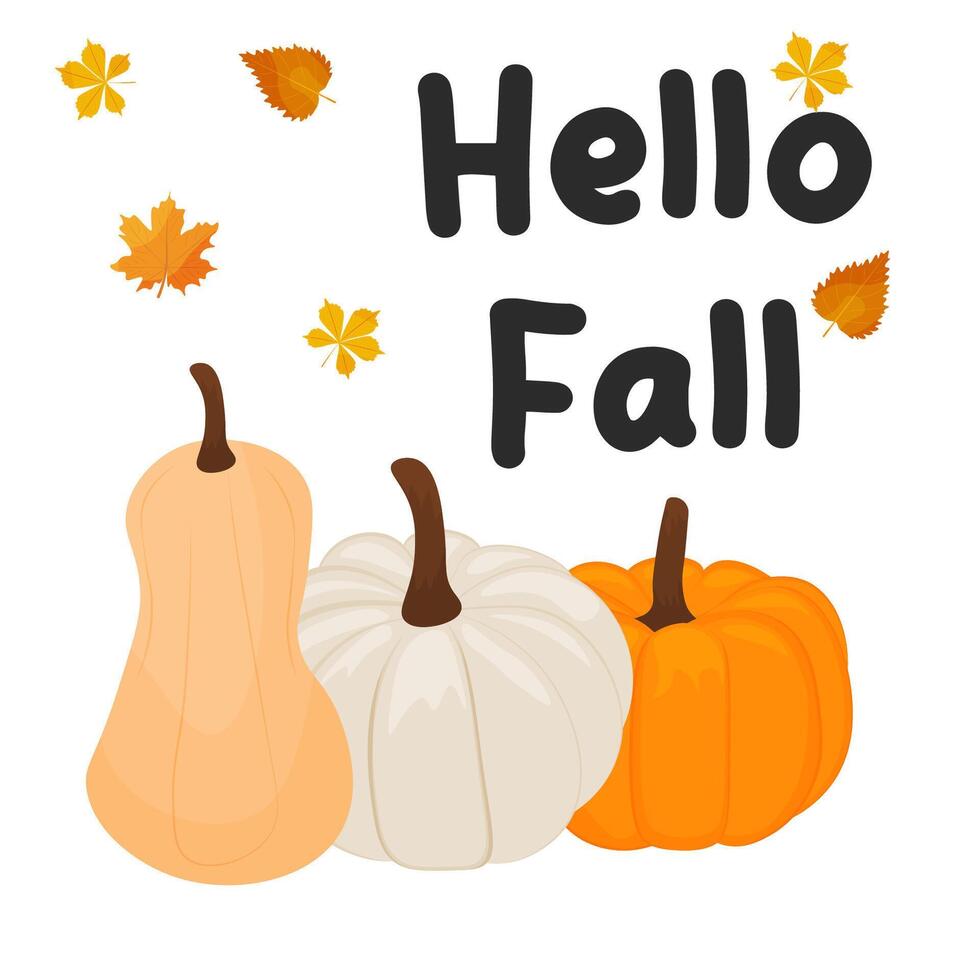 ripe pumpkins, autumn harvest, the phrase Hello FALL. Seasonal greetings. Autumn mood. illustration vector