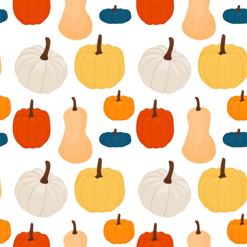 Seamless pattern of ripe pumpkins on a white background. illustration. vector