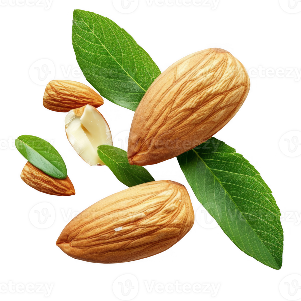 sliced almond with green leaves transparent background png