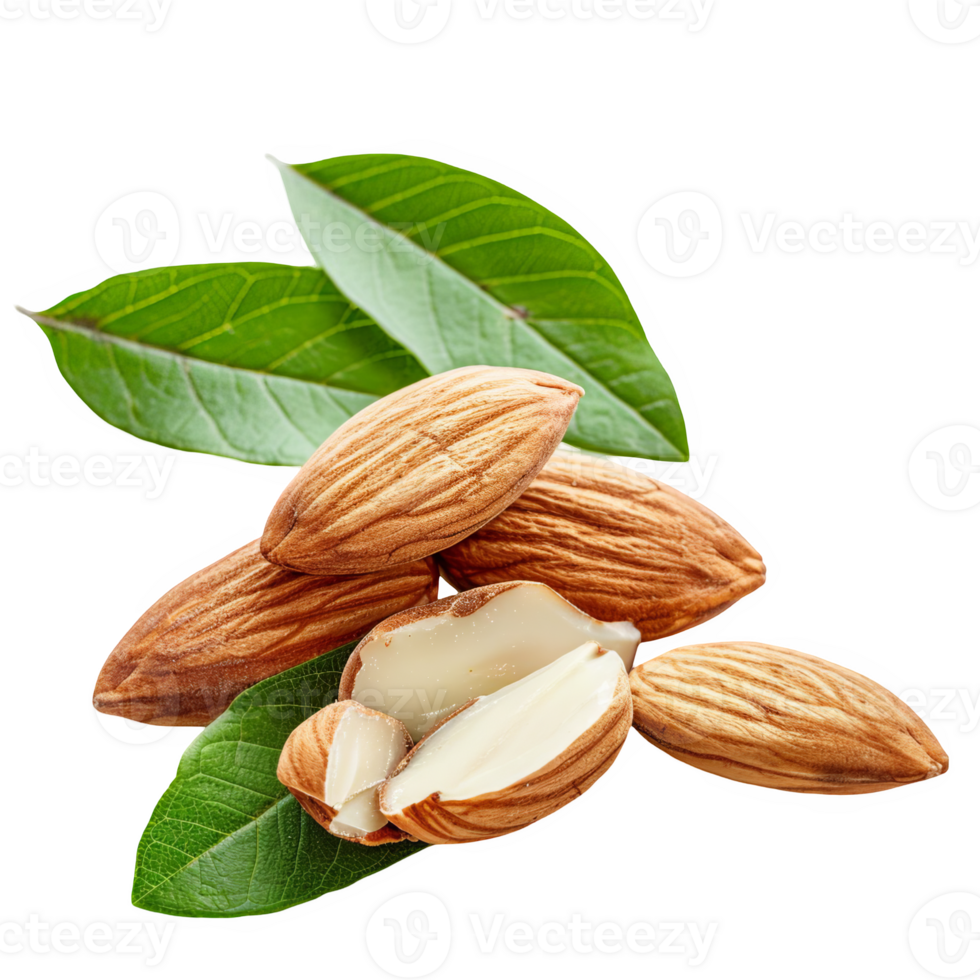 sliced almond with green leaves transparent background png