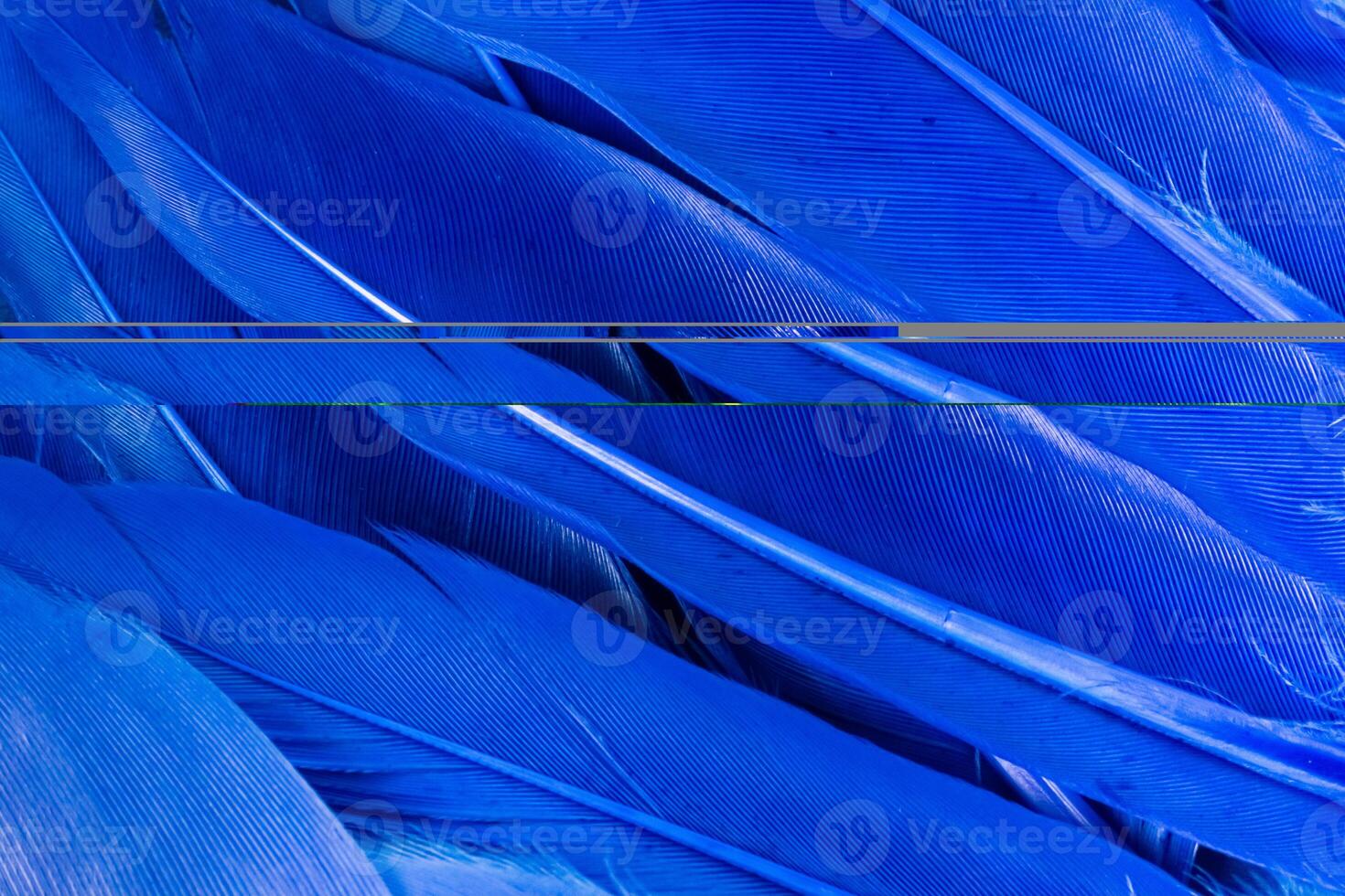 Blue neon bird feathers on blue background. Abstract trendy texture background. Copy space horizontal frame. photo