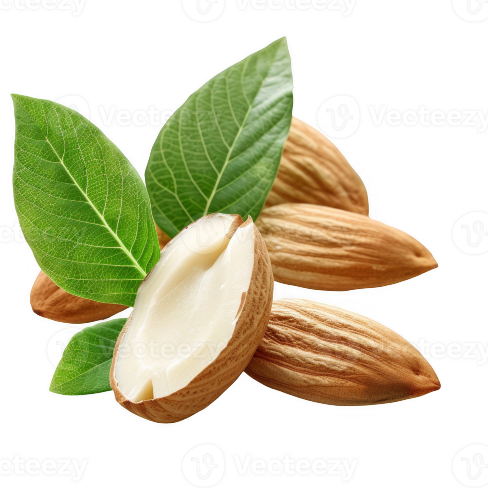 sliced almond with green leaves transparent background png