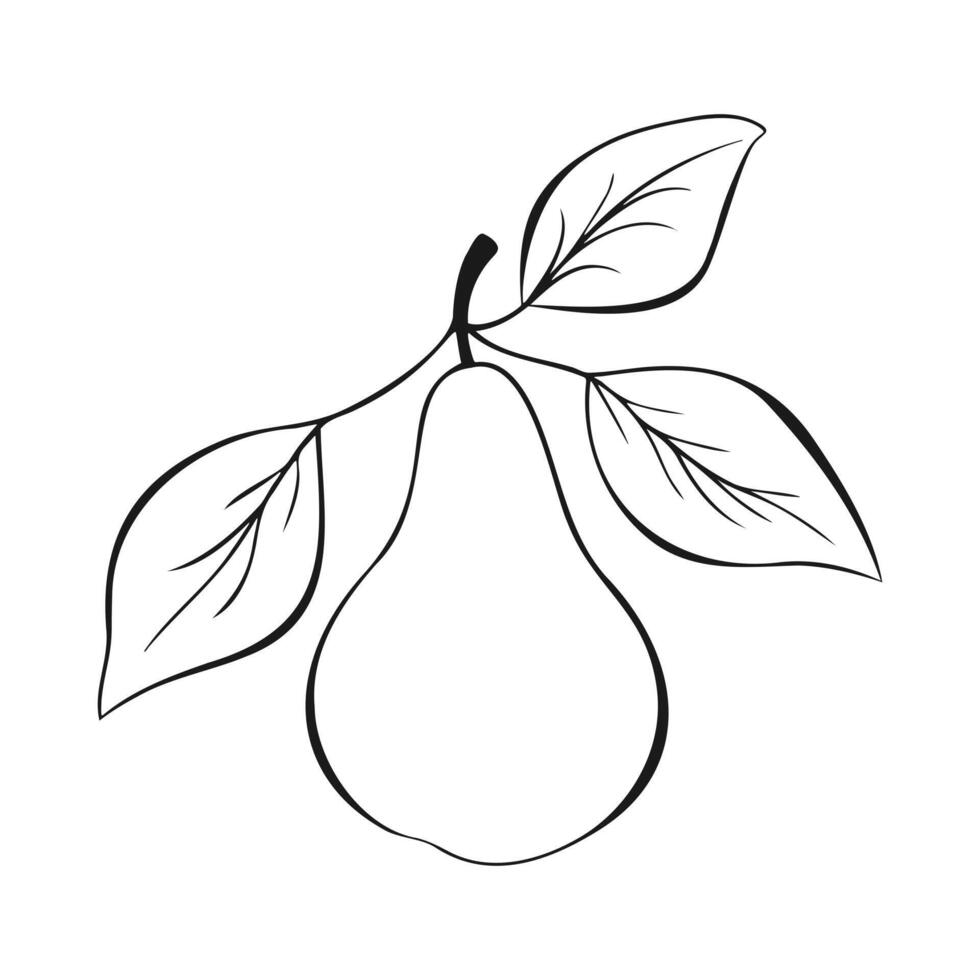 Pear contour drawn on white background. vector