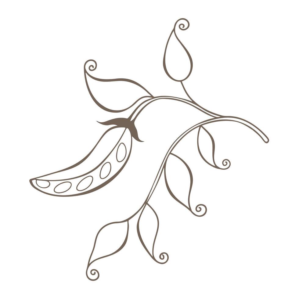 Stylized branch of green Pea pod with leaves and climbing shoots, isolated on white background. vector