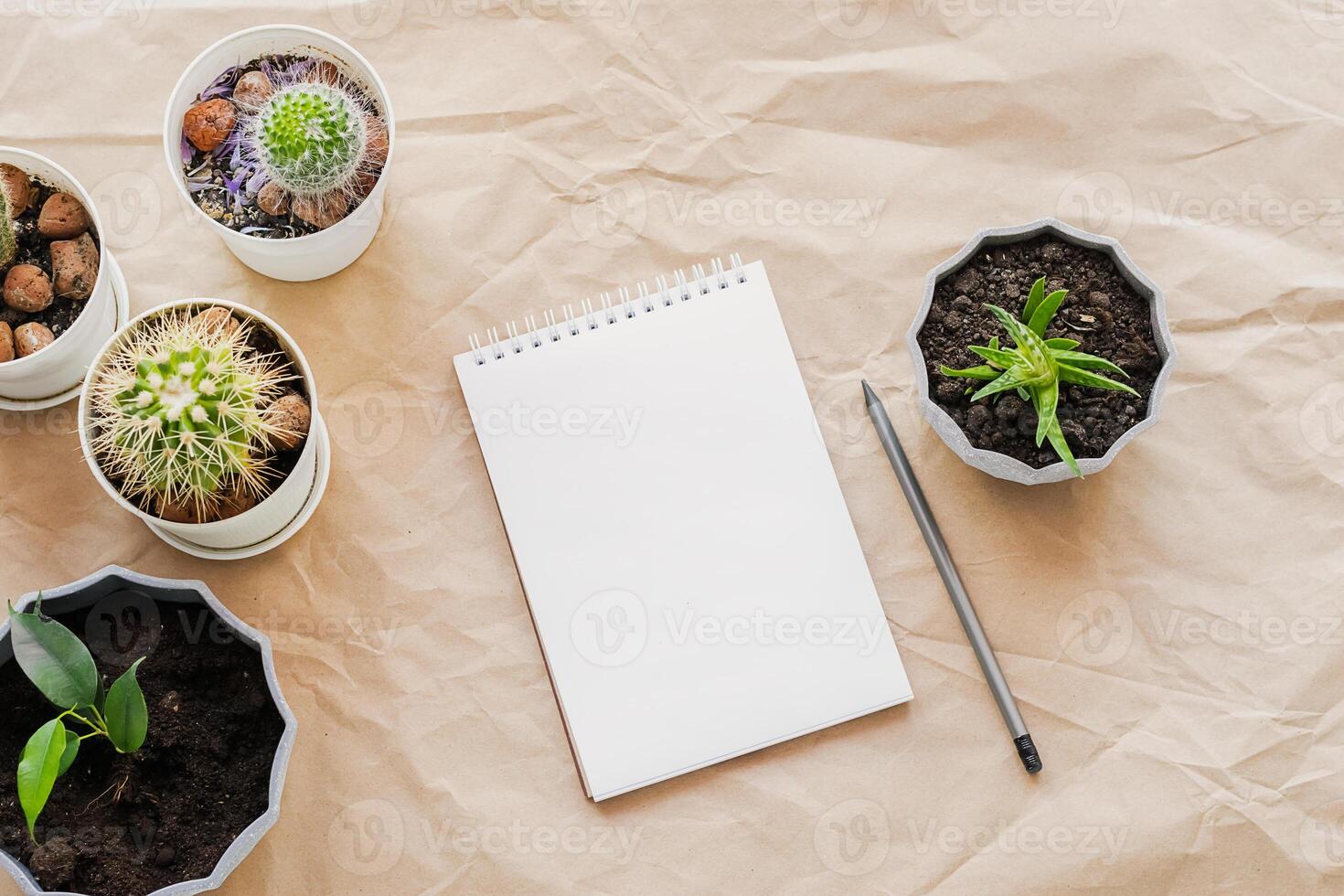 Blank notepad sheet and pot of cactus succulents on the desktop. Home gardening for flower care. Horizontal frame photo