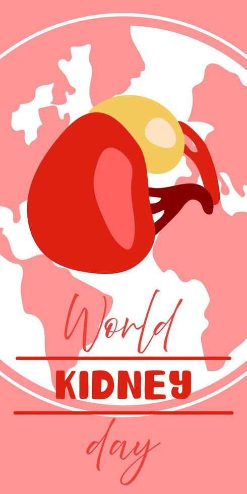 World Kidney Day banner, March 11, is used design of postcards with minimalist and modern concept, cover, background, kidneys, internal organs, international relations. Natural on pink vector