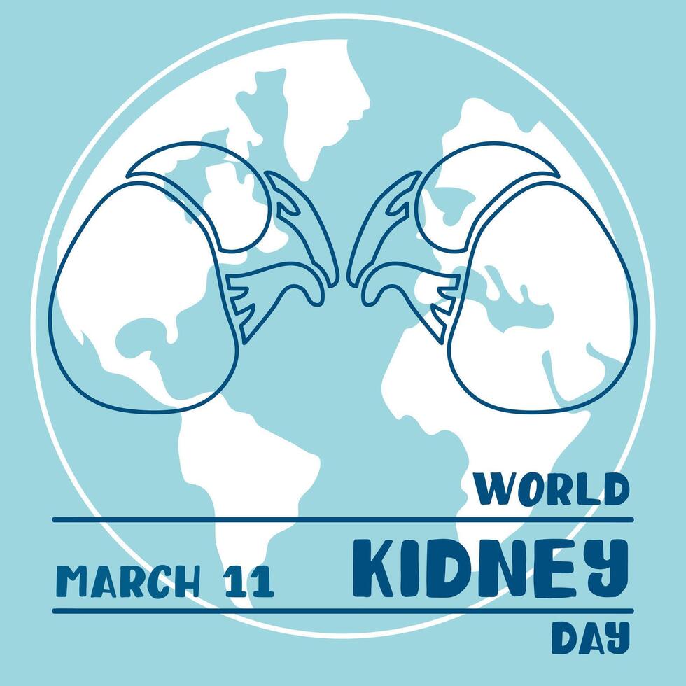 World Kidney Day banner, March 11, is used for design of postcards with a minimalist and modern concept, cover, background, kidneys, internal organs, international relations. Outline on blue vector