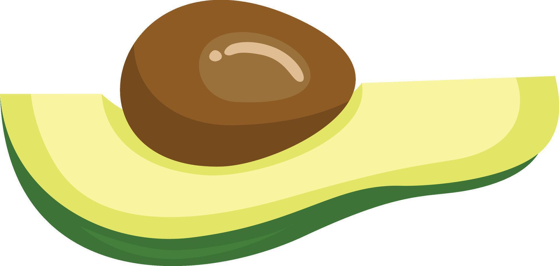 Half a fresh green avocado with stone vector