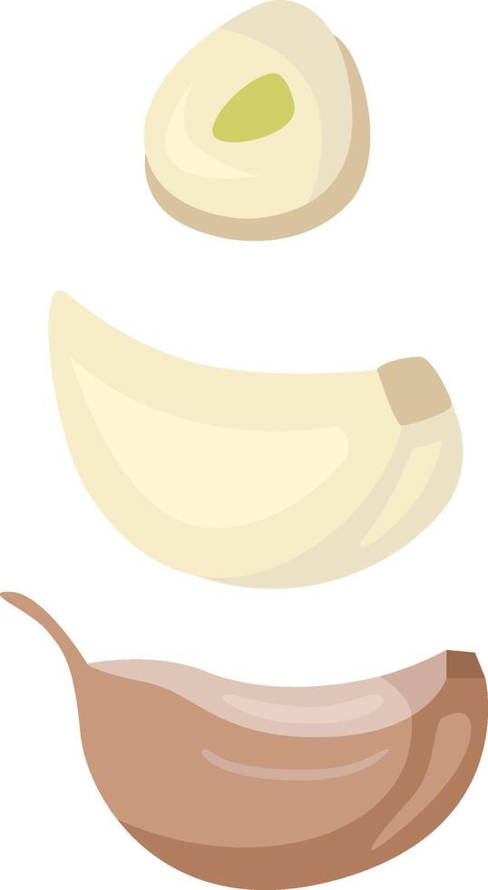 Peeling and cut garlic step by step vector