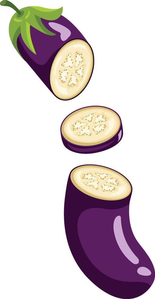 Fresh eggplant cut in half vector