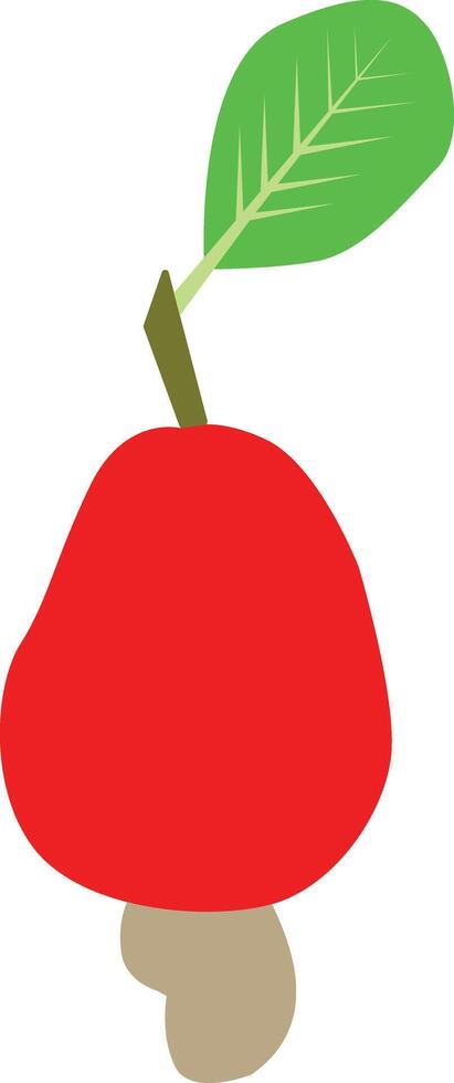 Cashew icon. Cashew nut sign. fruit of ripe cashew nuts with green leaves and seeds symbol. flat style. vector