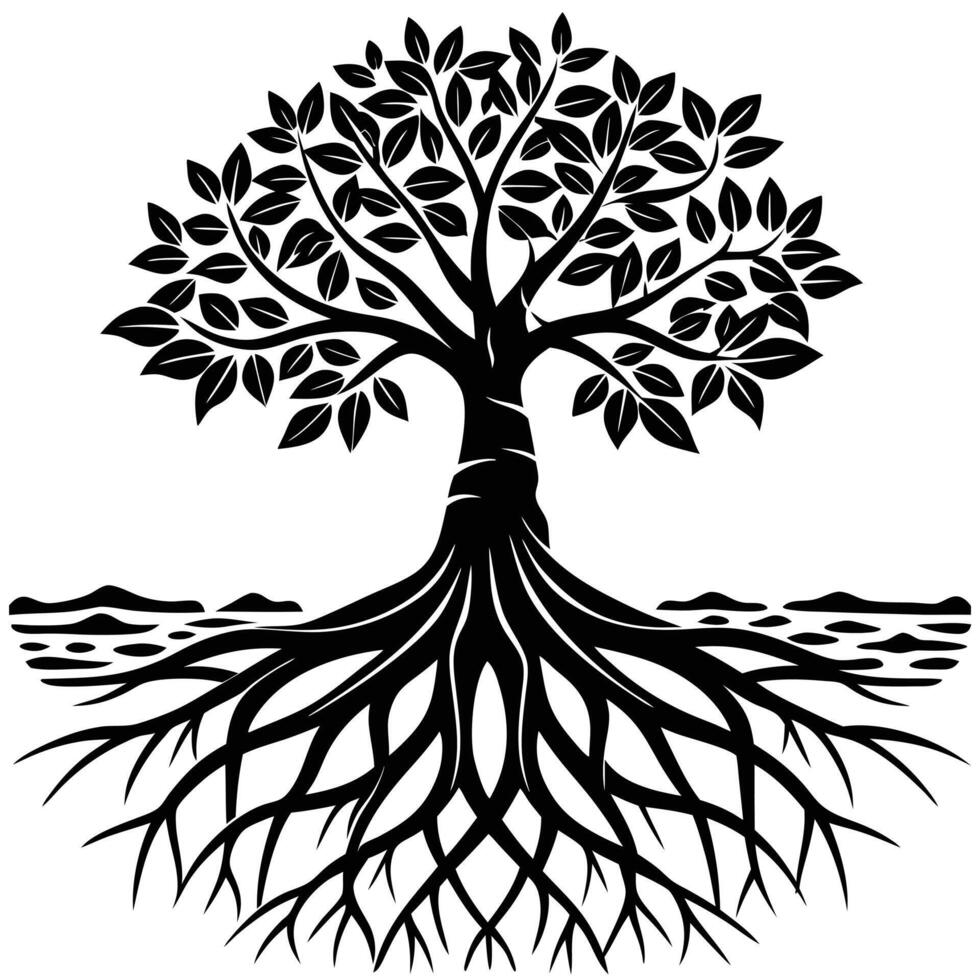 Mangrove Tree roots visible in a coastal setting silhouette on white background vector