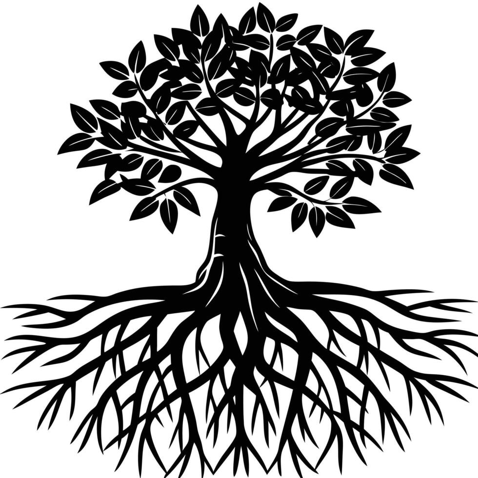 Mangrove Tree roots visible in a coastal setting silhouette on white background vector
