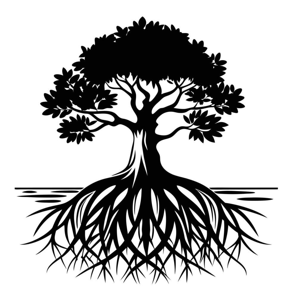 Mangrove Tree roots visible in a coastal setting silhouette on white background vector