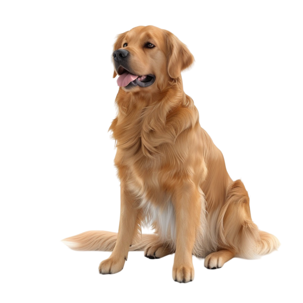 Dog on transparent Background Generative-AI png