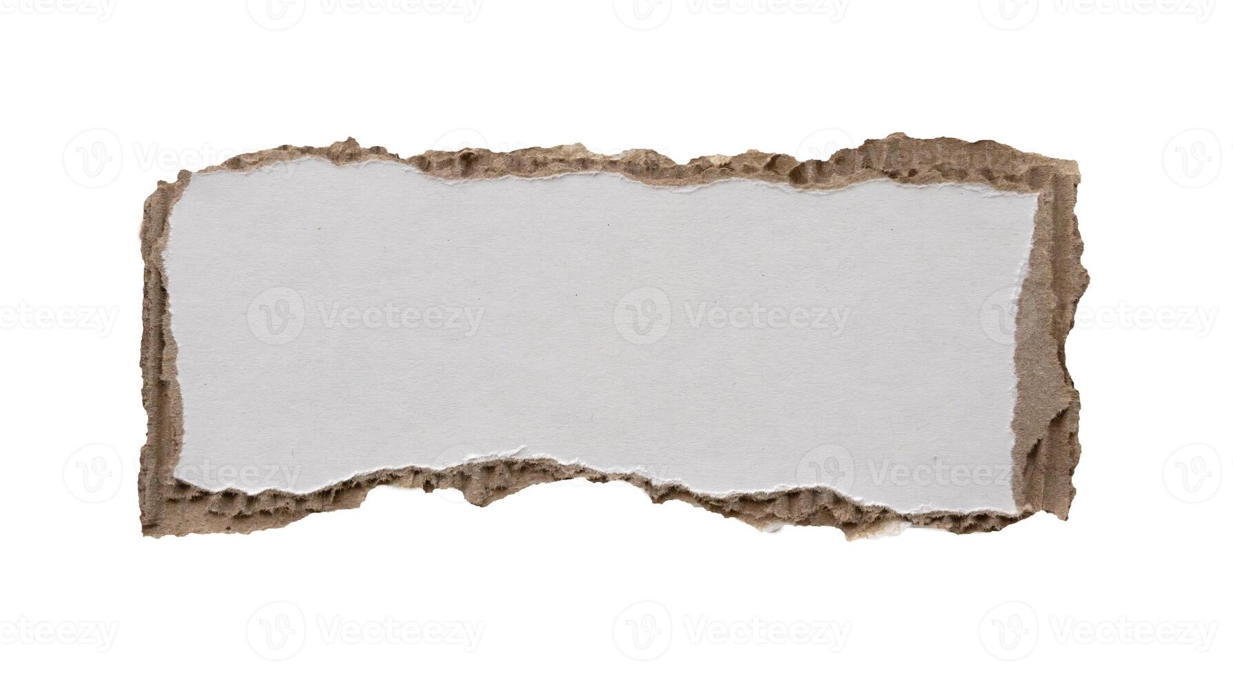 piece of white paper tear isolated on white background photo