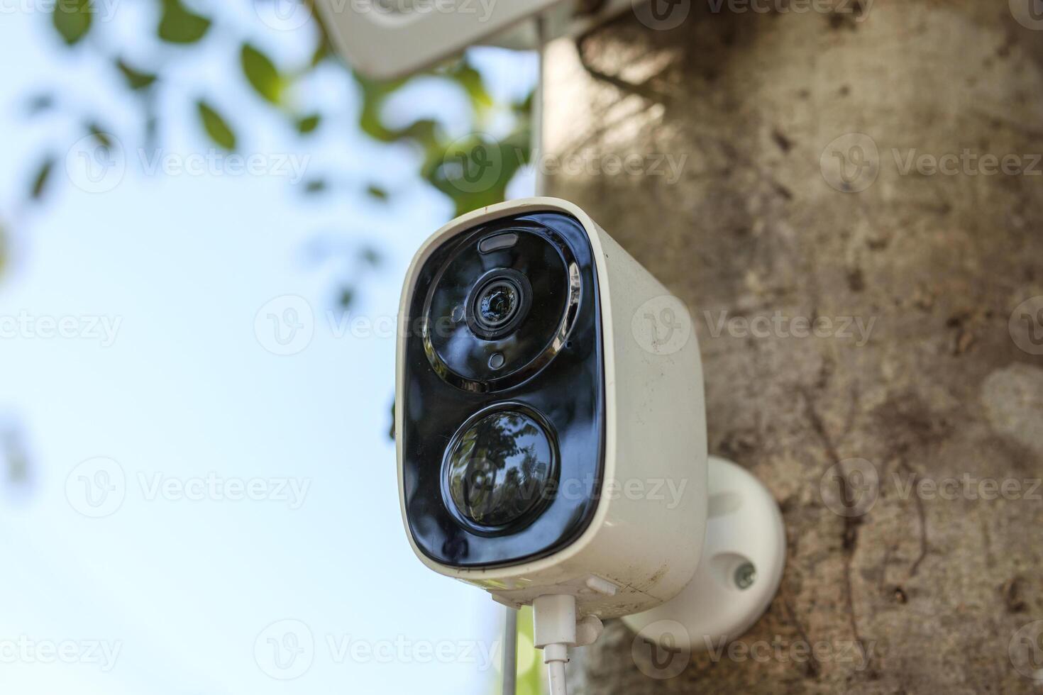 Security IP CCTV camera using solar energy install on the tree for home security system photo