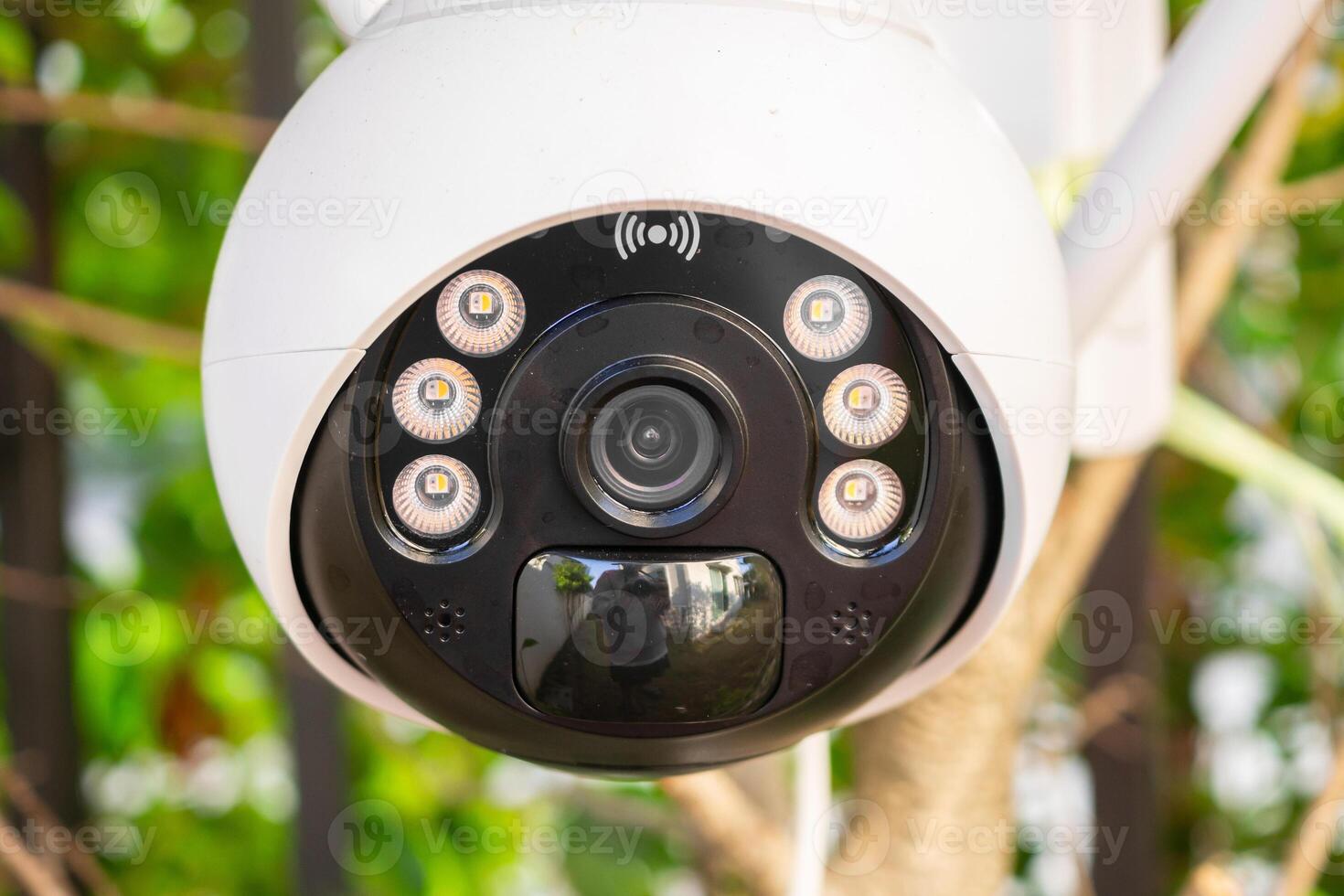 Security IP CCTV camera using solar energy install on the tree for home security system photo