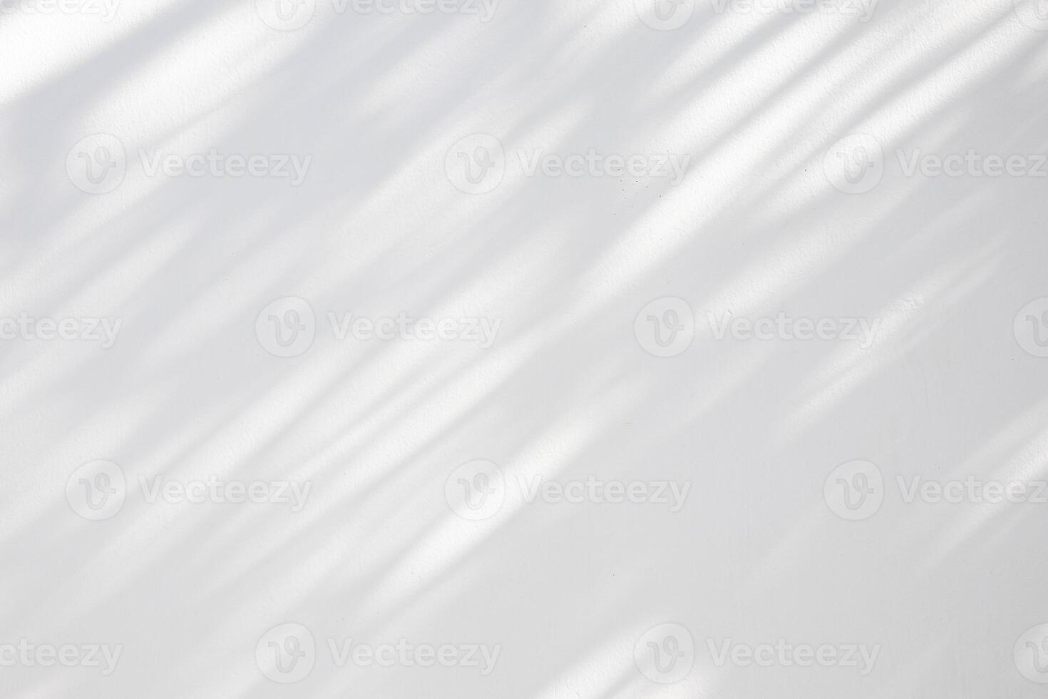 Abstract natural tree leaves shadow on white wall background photo