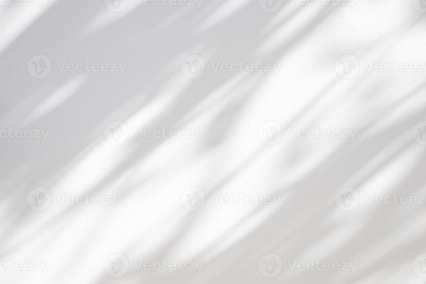 Abstract natural tree leaves shadow on white wall background photo