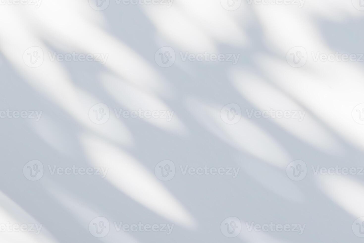 Abstract natural tree leaves shadow on white wall background photo