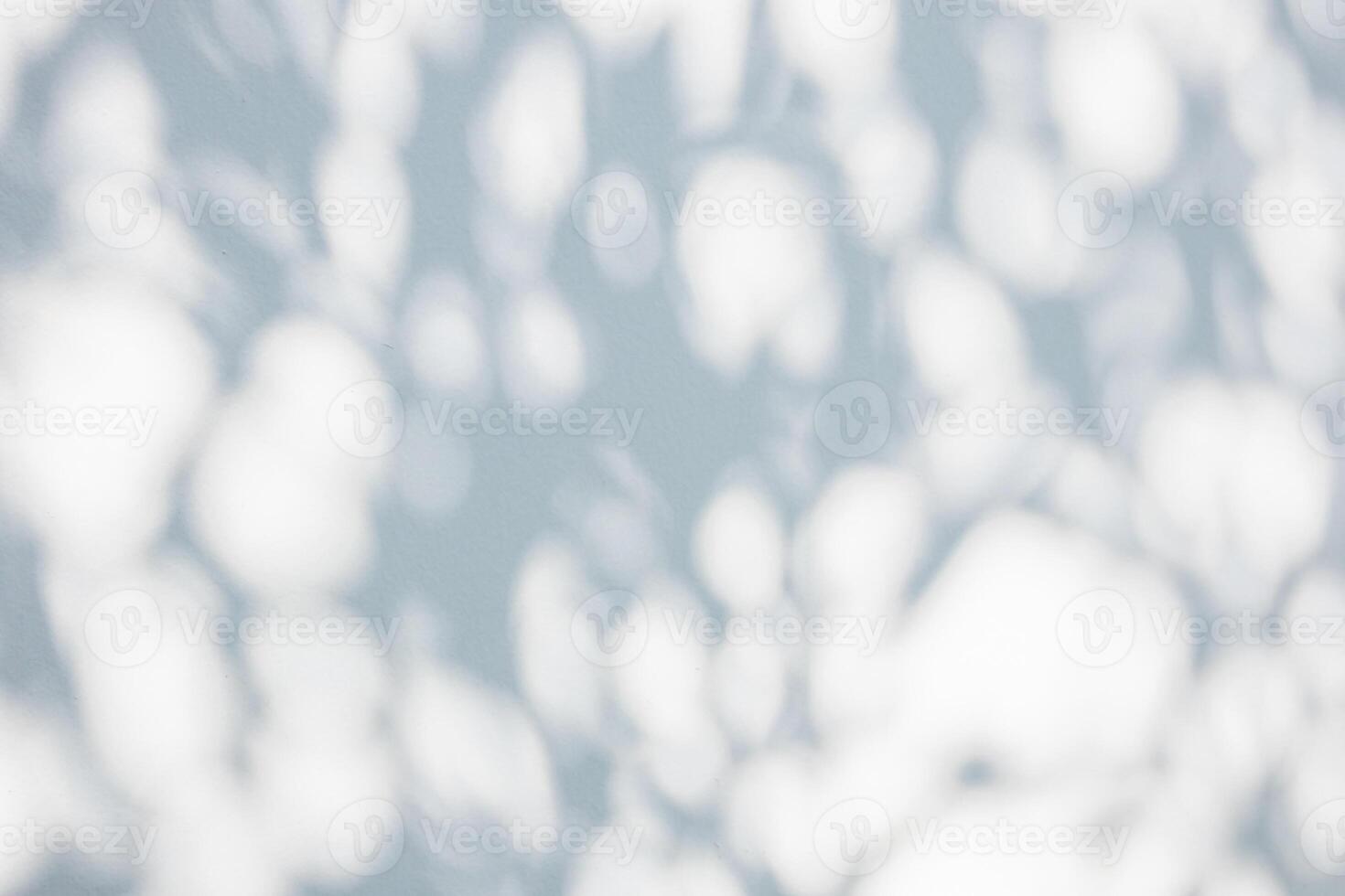 Abstract natural tree leaves shadow on white wall background photo