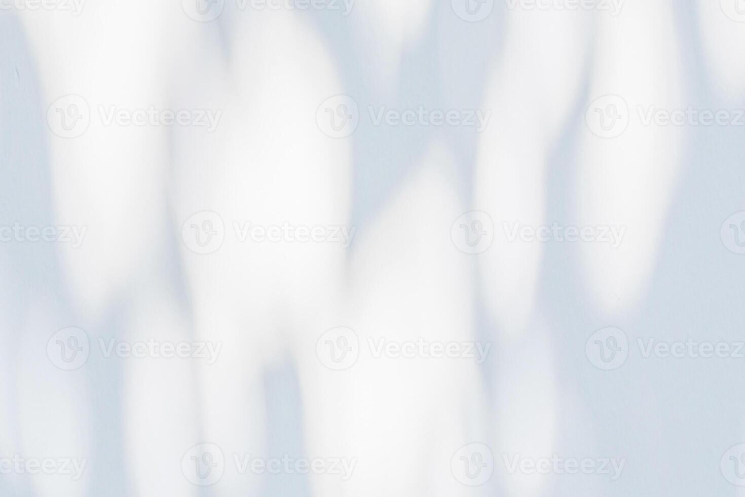 Abstract natural tree leaves shadow on white wall background photo