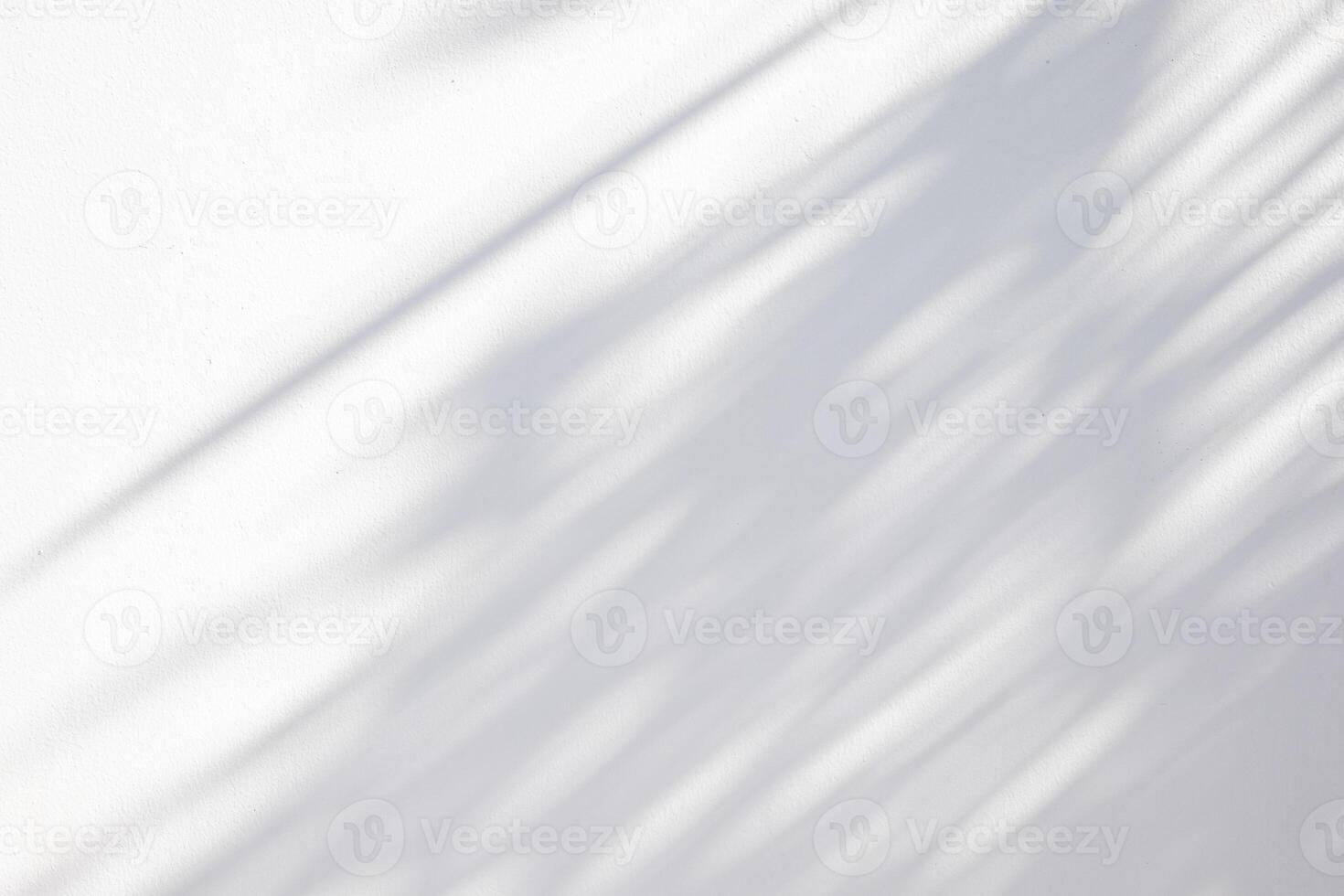 Abstract natural tree leaves shadow on white wall background photo