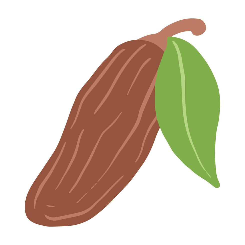 hand drawn dates palm fruit illustration vector