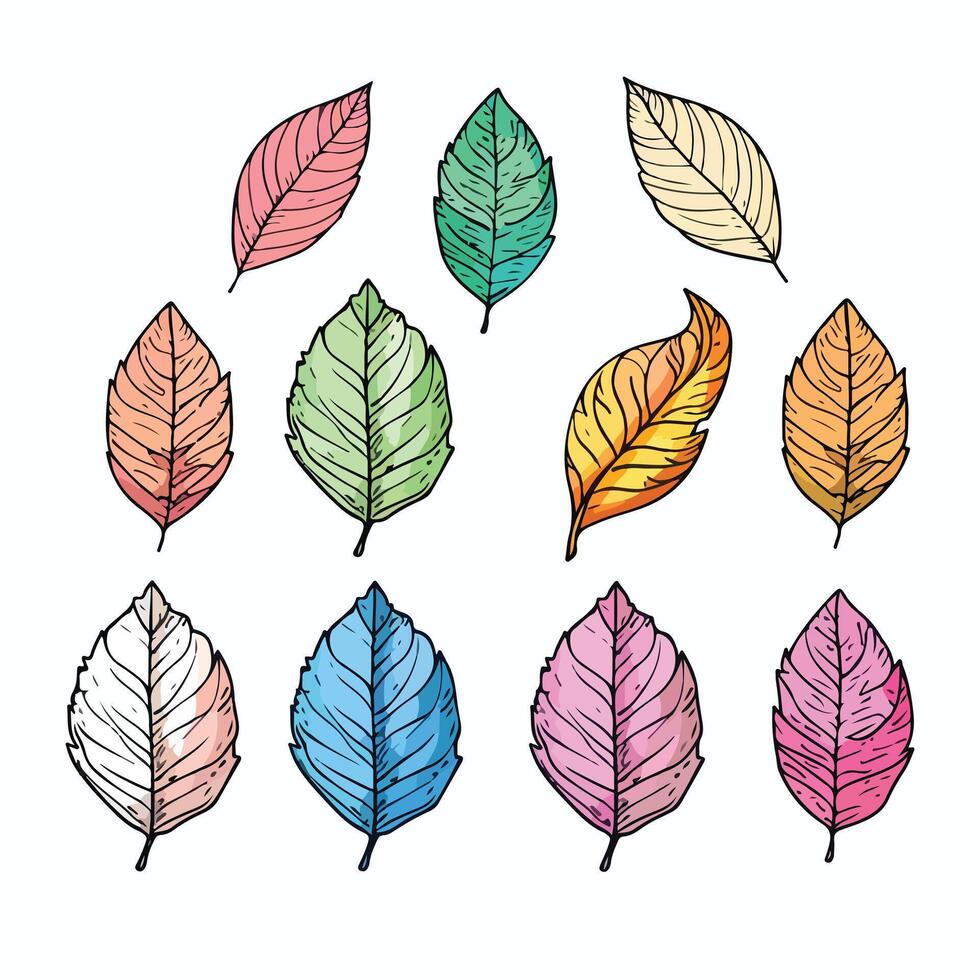 leaf illustration isolated on white background. vector