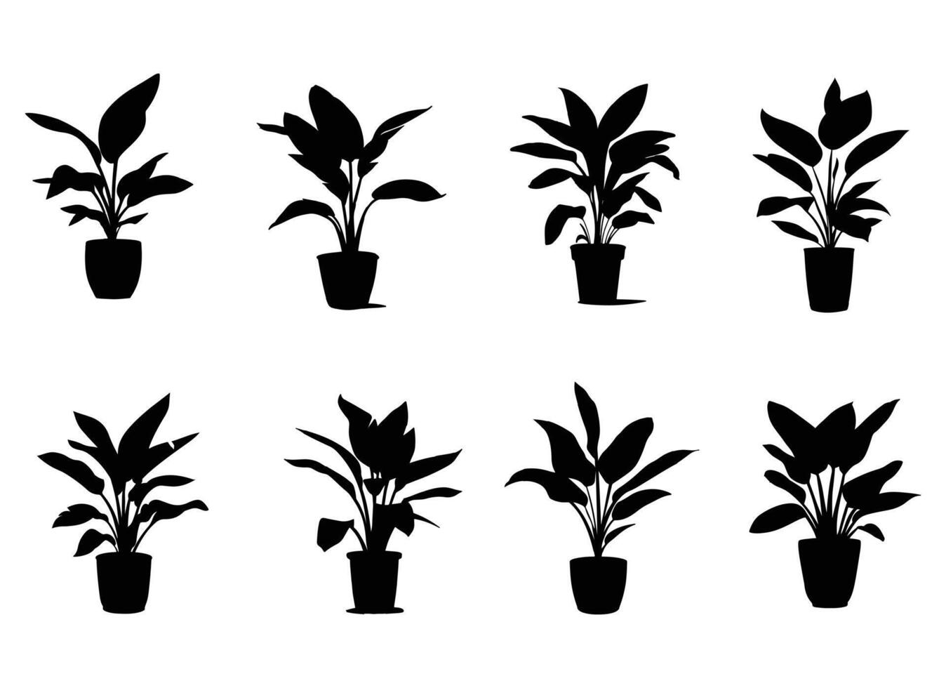 plant illustration isolated on white background. vector