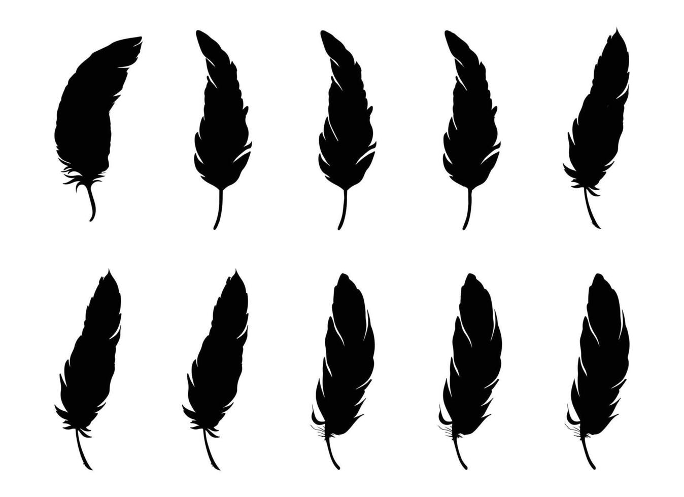 feather illustration isolated on white background. vector