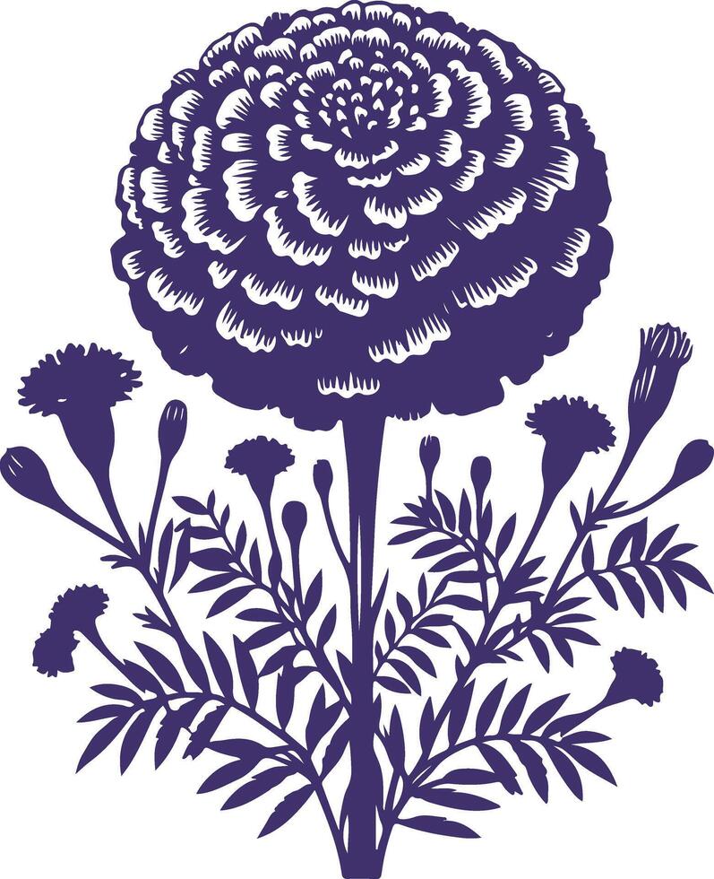 The Marigold Flower Collection vector