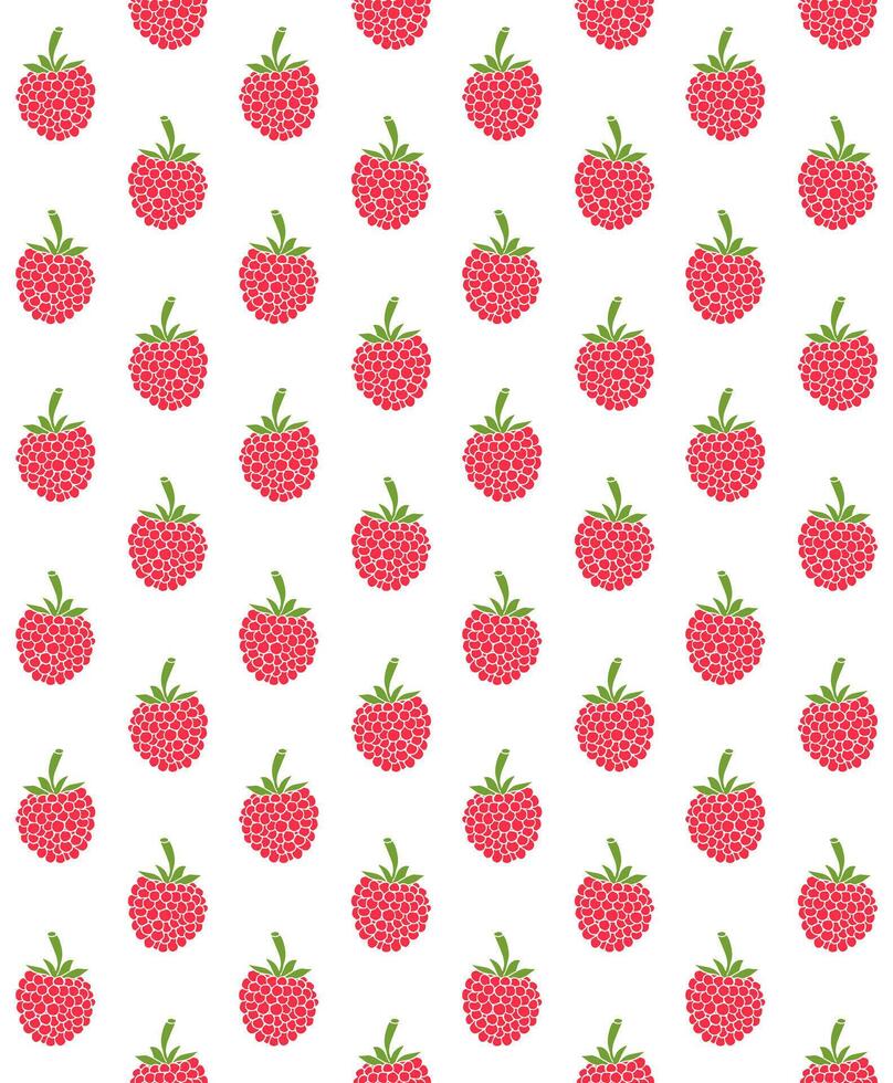 Seamless pattern of sketch raspberry vector