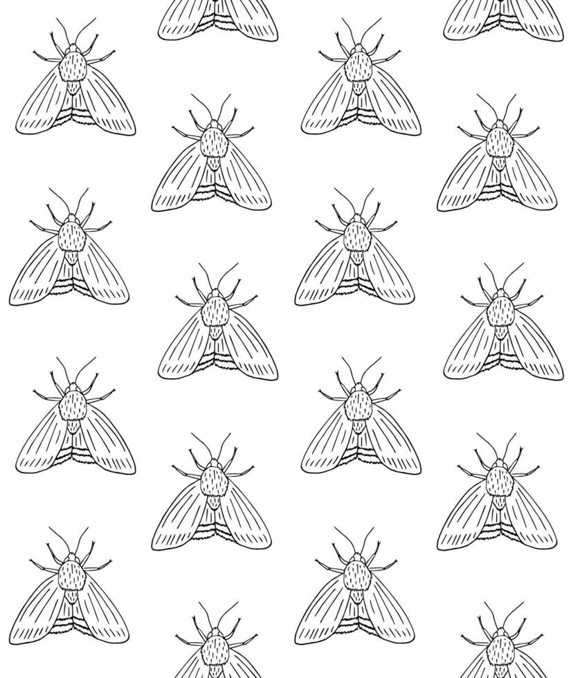 Seamless pattern of doodle sketch moth vector