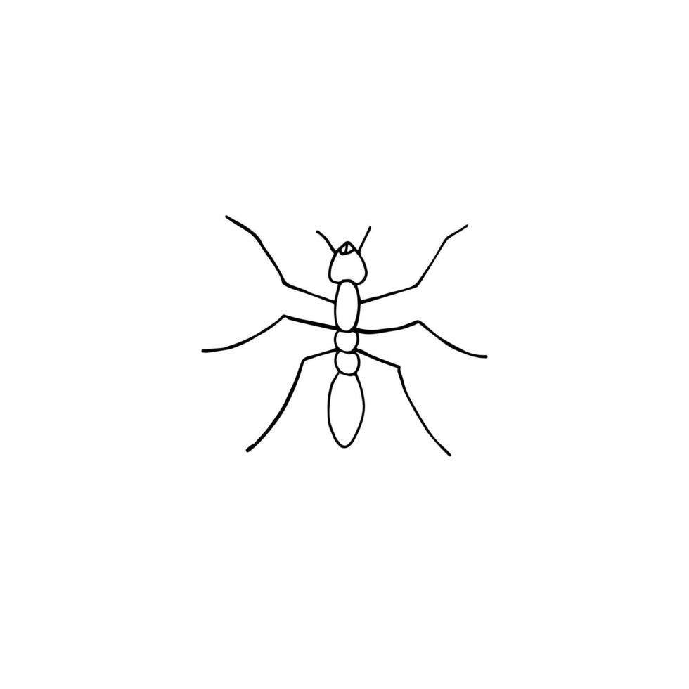Hand drawn doodle sketch ant vector