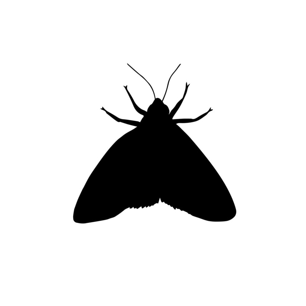 Hand drawn doodle sketch moth silhouette vector