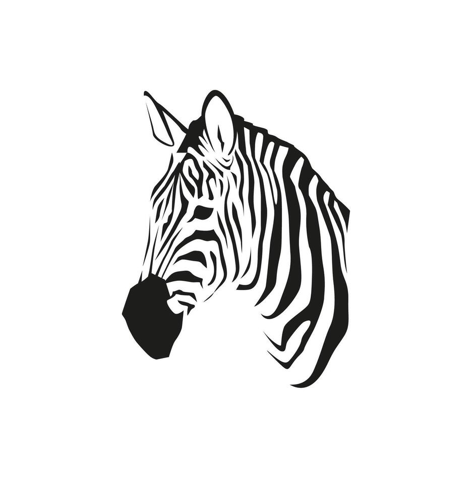 African zebra portrait isolated on white background. Wild animal black and white illustration for minimalist print or other design vector