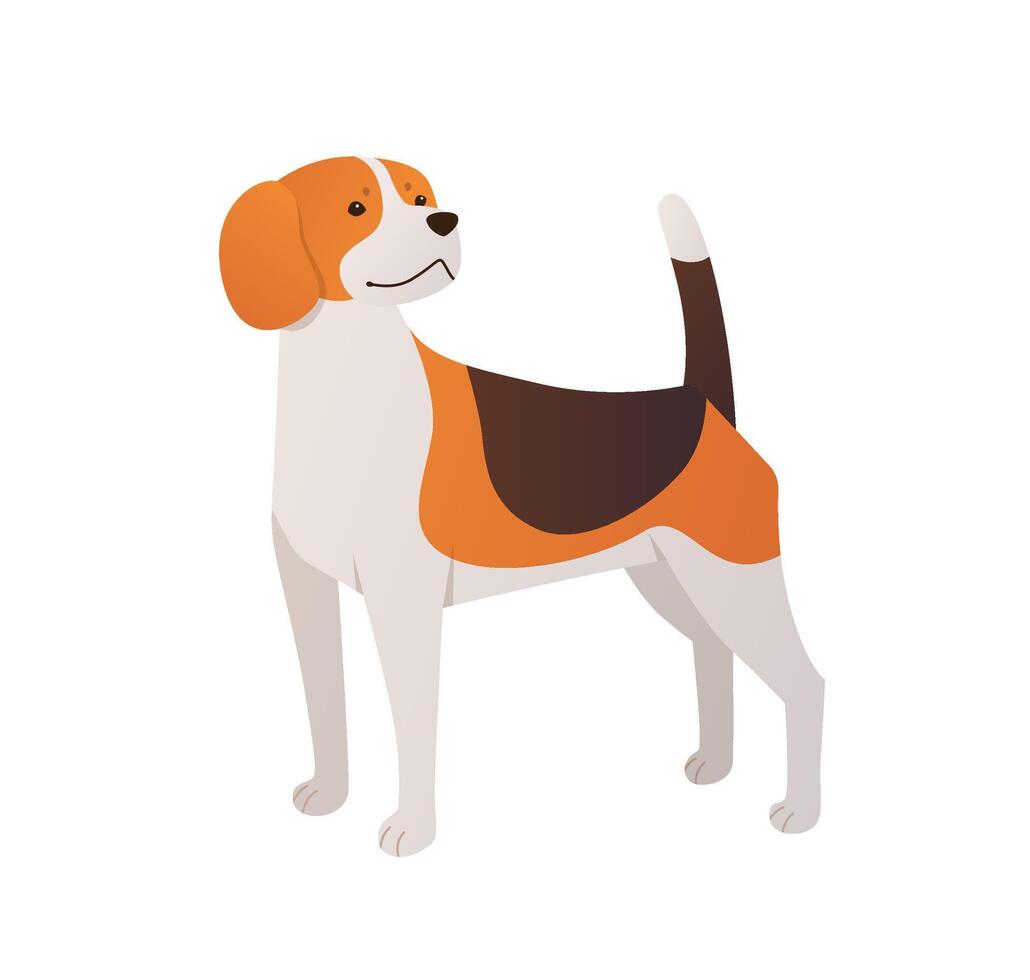 Beagle cartoon illustration. Pet dog flat isolated on white background. Standing cute puppy vector