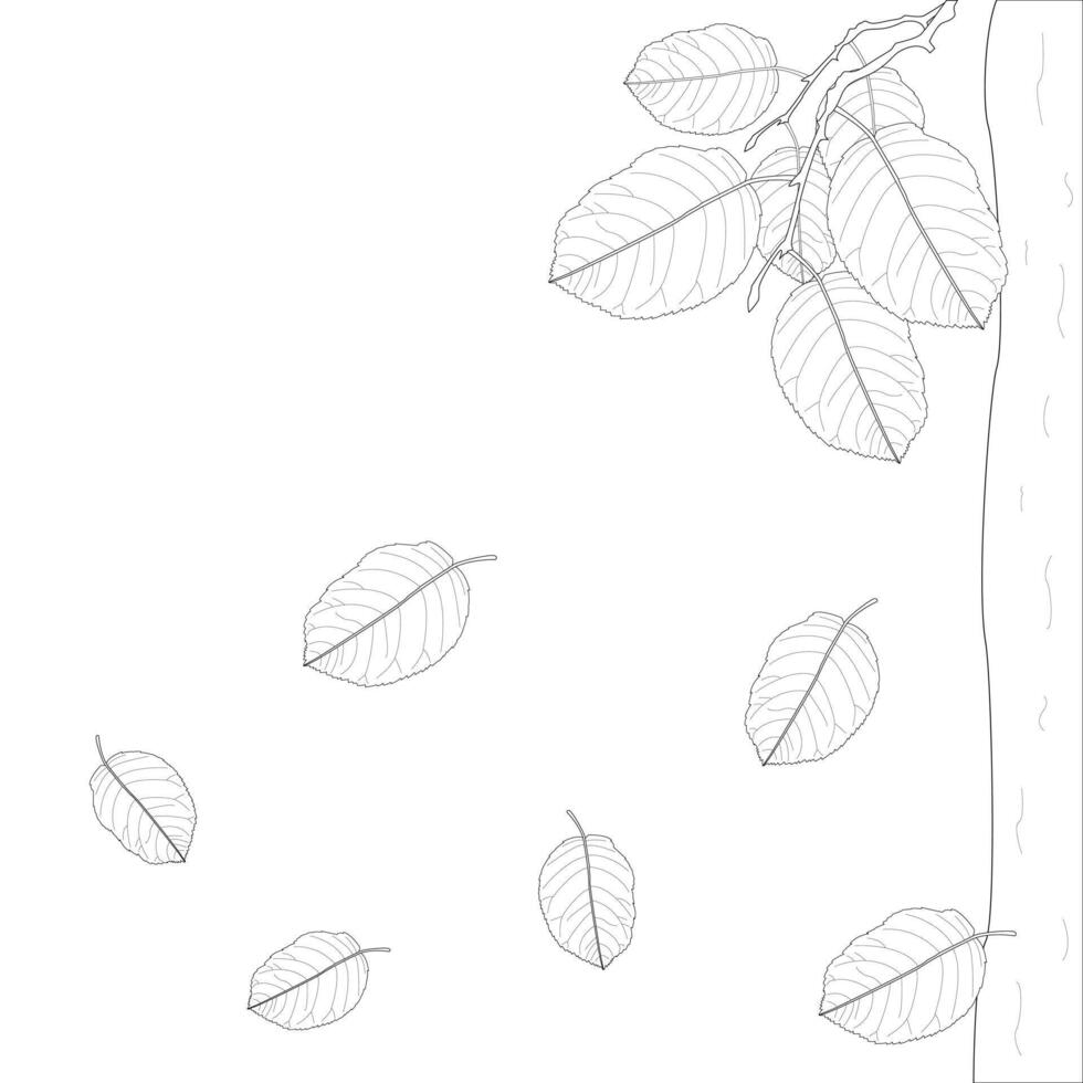 Childrens coloring books. Falling autumn leaves from the tree, fall. black and white drawing vector