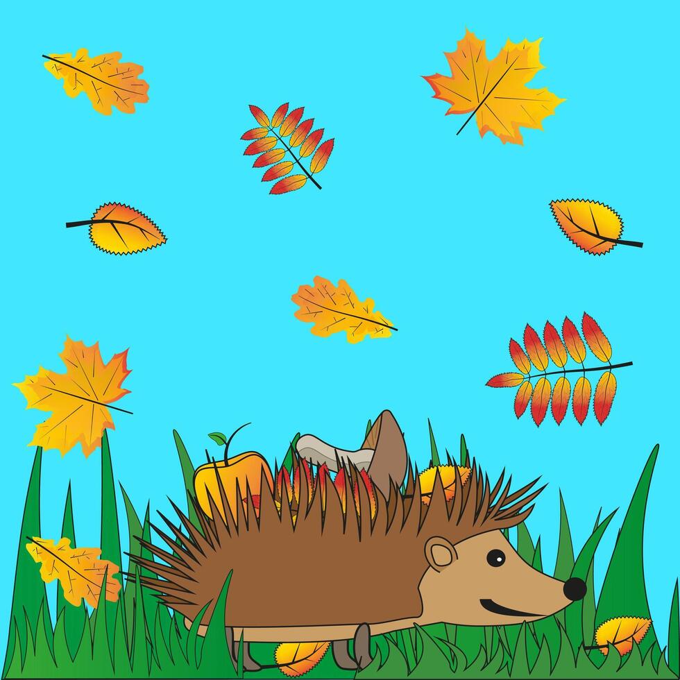 A hedgehog in the grass and fall leaves, fall. color drawing vector