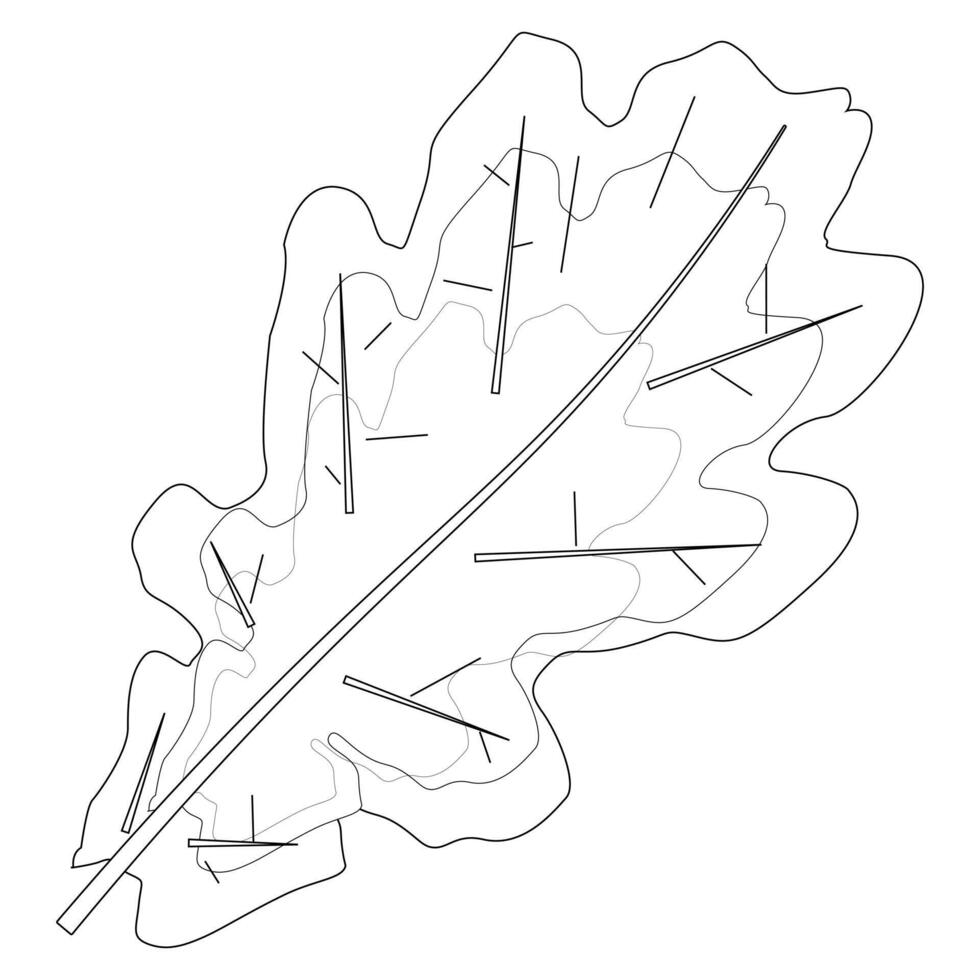 Detailed fall leaves coloring page featuring oak, maple, and rowan leaves. Perfect for autumn-themed creative projects and activities. vector