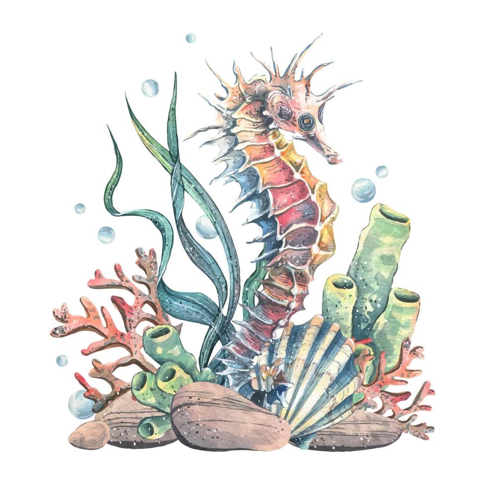 Seahorses, seashell, coral, starfish, sea sponge, algae, pebbles and bubbles. Hand drawn watercolor illustration of sea animals and the underwater world. Composition isolated from the background vector
