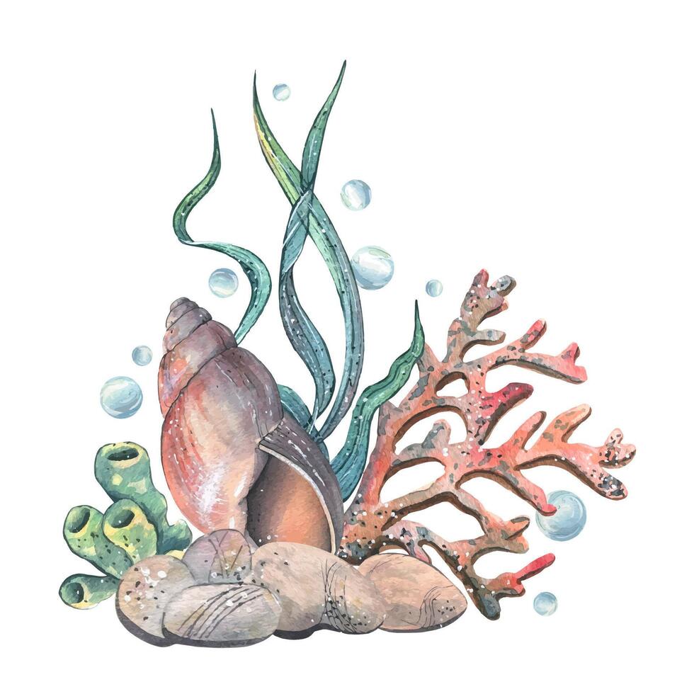Sea shell, coral, sea sponge, algae, pebbles and bubbles. Hand drawn watercolor illustration on the theme of sea animals and the underwater world. Composition isolated from the background vector